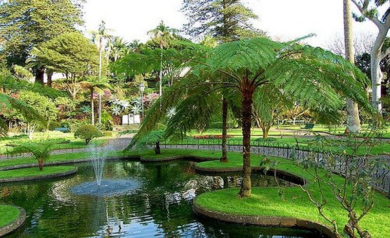     Jardín Duque de Terceira